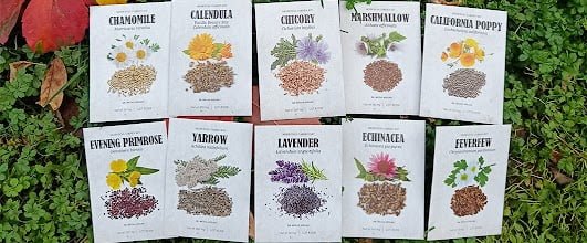 Medicinal Garden Kit Review: Discover the Healing Power of Home-Grown Remedies 2024 2 medicinal-garden-kit